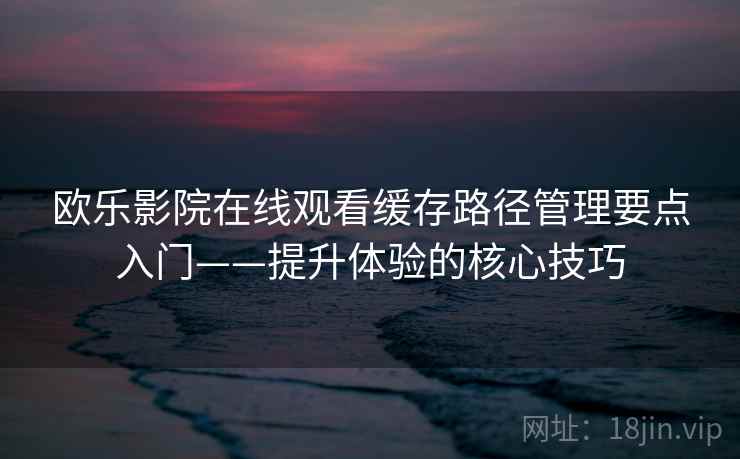 欧乐影院在线观看缓存路径管理要点入门——提升体验的核心技巧