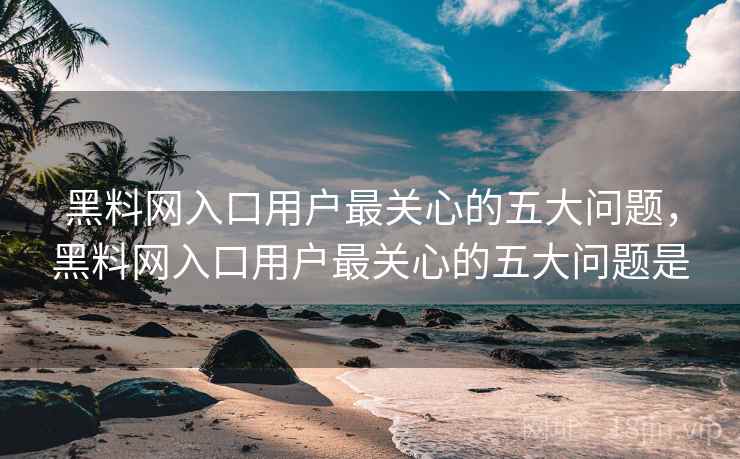 黑料网入口用户最关心的五大问题，黑料网入口用户最关心的五大问题是