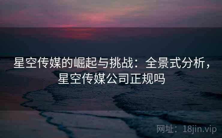 星空传媒的崛起与挑战：全景式分析，星空传媒公司正规吗