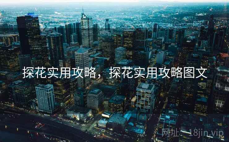 探花实用攻略，探花实用攻略图文