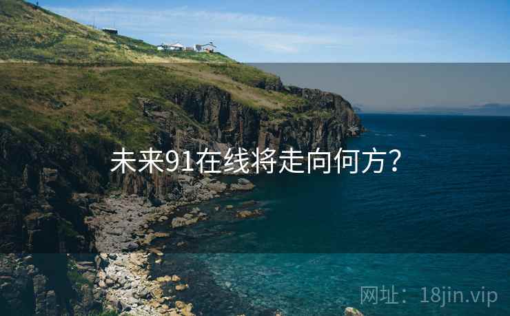 未来91在线将走向何方？