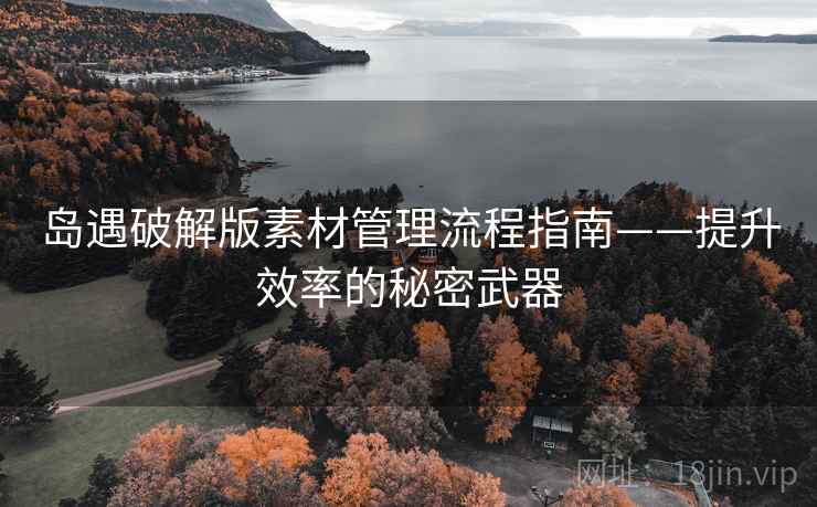岛遇破解版素材管理流程指南——提升效率的秘密武器