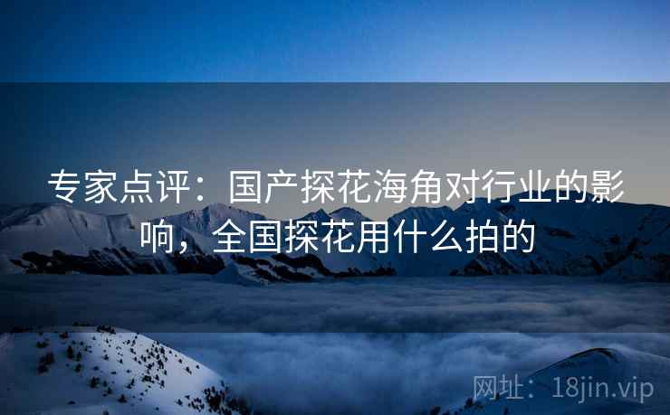专家点评：国产探花海角对行业的影响，全国探花用什么拍的