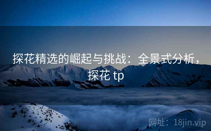 探花精选的崛起与挑战：全景式分析，探花 tp