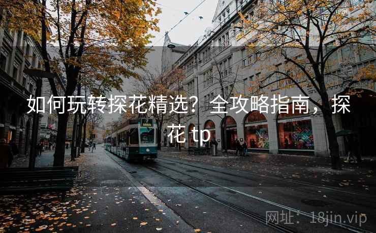 如何玩转探花精选？全攻略指南，探花 tp