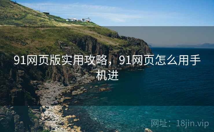 91网页版实用攻略，91网页怎么用手机进