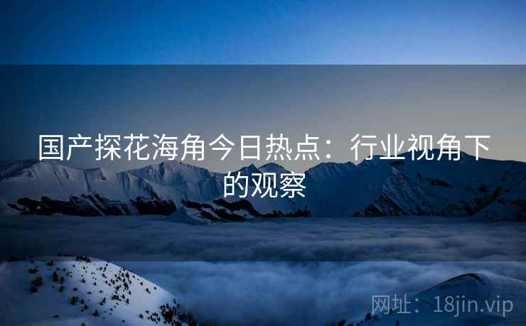国产探花海角今日热点：行业视角下的观察