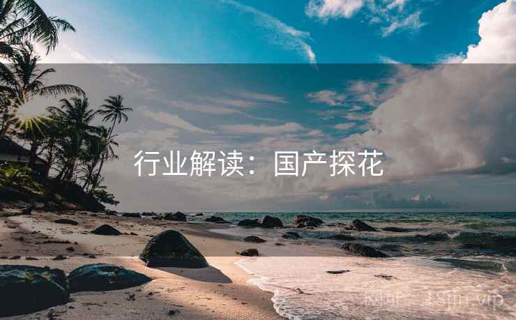 行业解读：国产探花